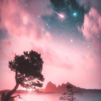 𝑵𝒖𝒔𝒂𝒚𝒃𝒂 𝑨𝒃𝒅-𝑬𝒍𝒎𝒐𝒏𝒊𝒆𝒎