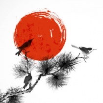 Jeffery Zheng Avatar