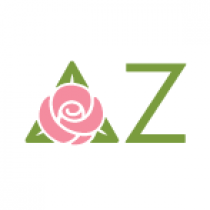 Delta Zeta (Lambda Theta) logo