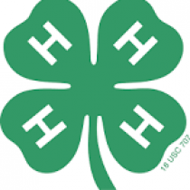 4H Group logo