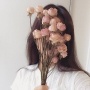 J Diong