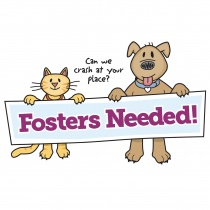 Pima Animal Care Center Fosters logo