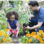 Macedonia Garden Revitalization