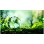 Earth Day on the Wolf River Greenway