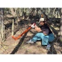 Red Bluff weeding & mulch sled day