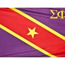 Sigma Phi Epsilon TN Beta logo