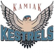 Kamiak Elementary School PTA logo