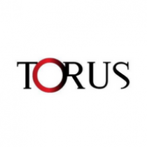 Torus logo