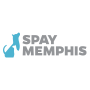 Spay/Neuter Surgery Clinic Volunteer - Afternoon