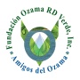 Reforestación - Villa Liberación