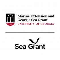 Marine Extension and Georgia Sea Grant Volunteers logo
