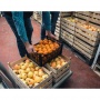 Volunteer to pickup and drop-off food boxes from Community Food Bank