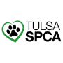 Dog Enrichment Activity Prep
