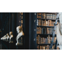 Law Library Relocation Project--Volunteers Needed ASAP