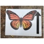 Roots & Wings Festival Butterfly Tent Assistant