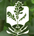 TreeFolks logo