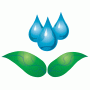 Adohi Creek Planting and Clean-up with Watershed Conservation Resource Center