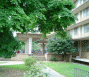 Yocum Garden Cleanup